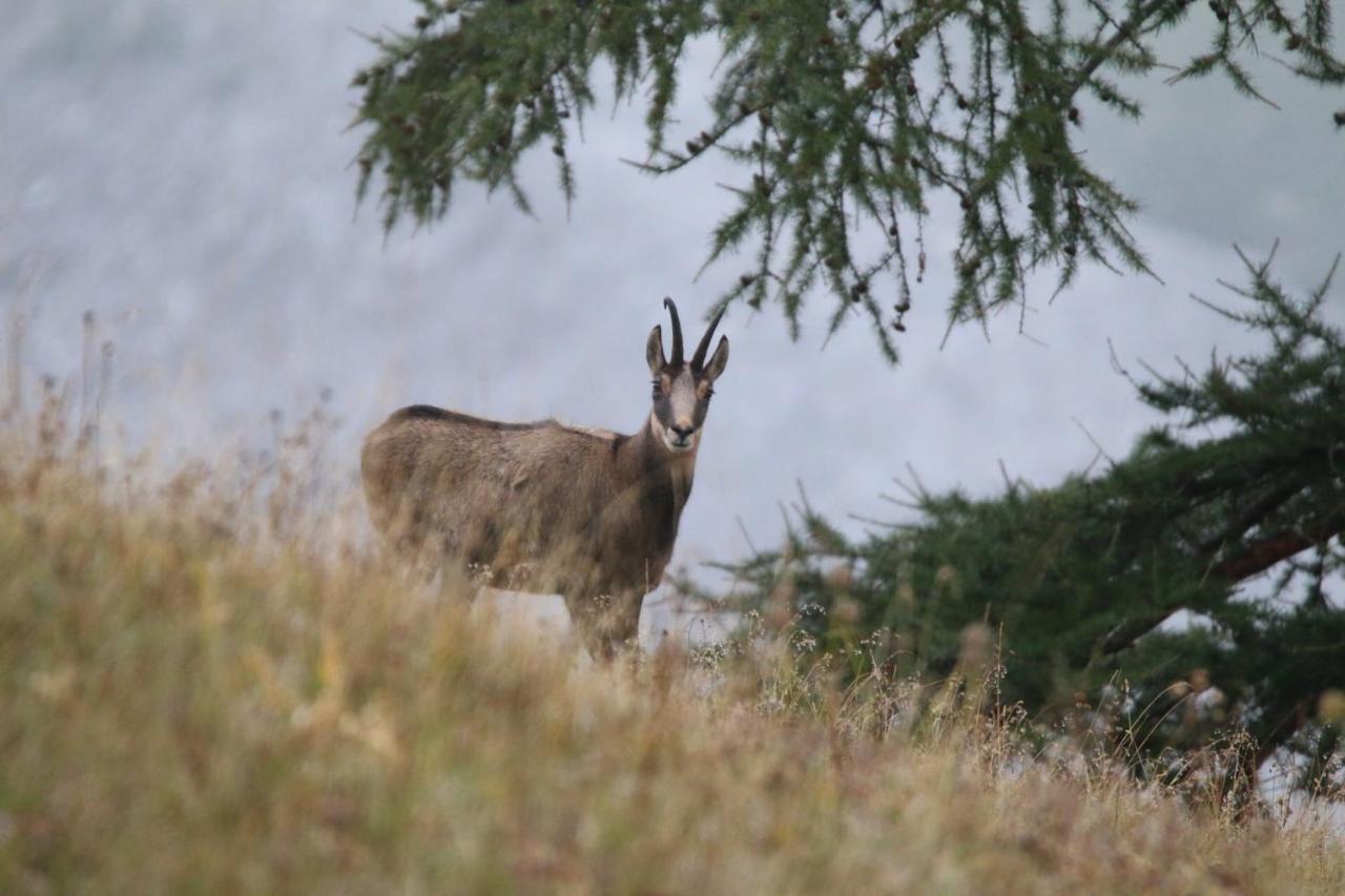 Chez Pierre Daire Praz-de-Fort Dış mekan fotoğraf