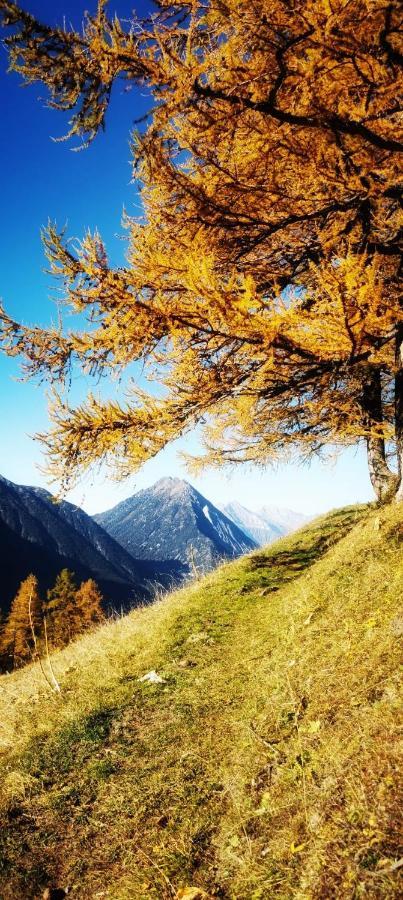 Chez Pierre Daire Praz-de-Fort Dış mekan fotoğraf