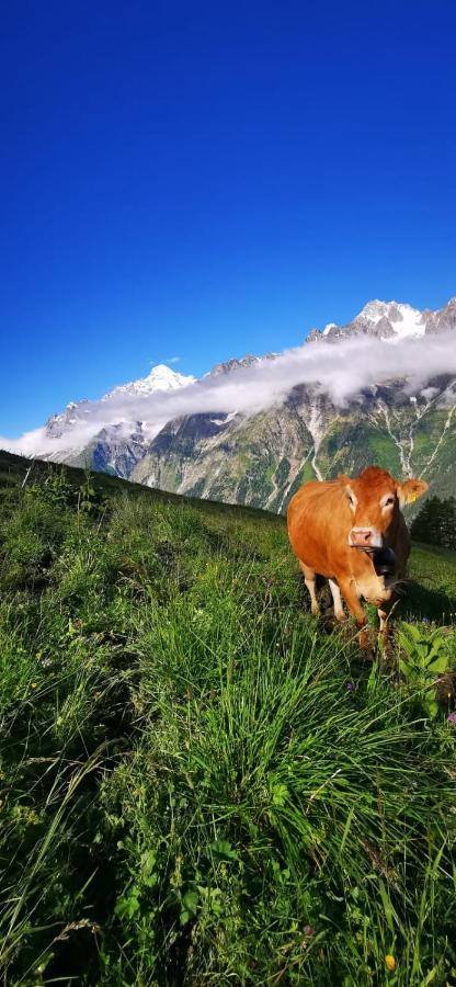 Chez Pierre Daire Praz-de-Fort Dış mekan fotoğraf